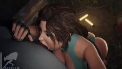 Lara Croft (Tomb Raider) Rule 34 Video – 1animal