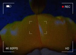 Ballora & Ballora (Five Nights At Freddy's) Rule 34 Video