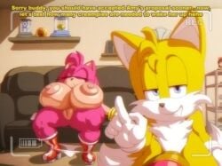 Amy Rose & Miles Tails Prower (Fumo Plush) Rule 34 Video