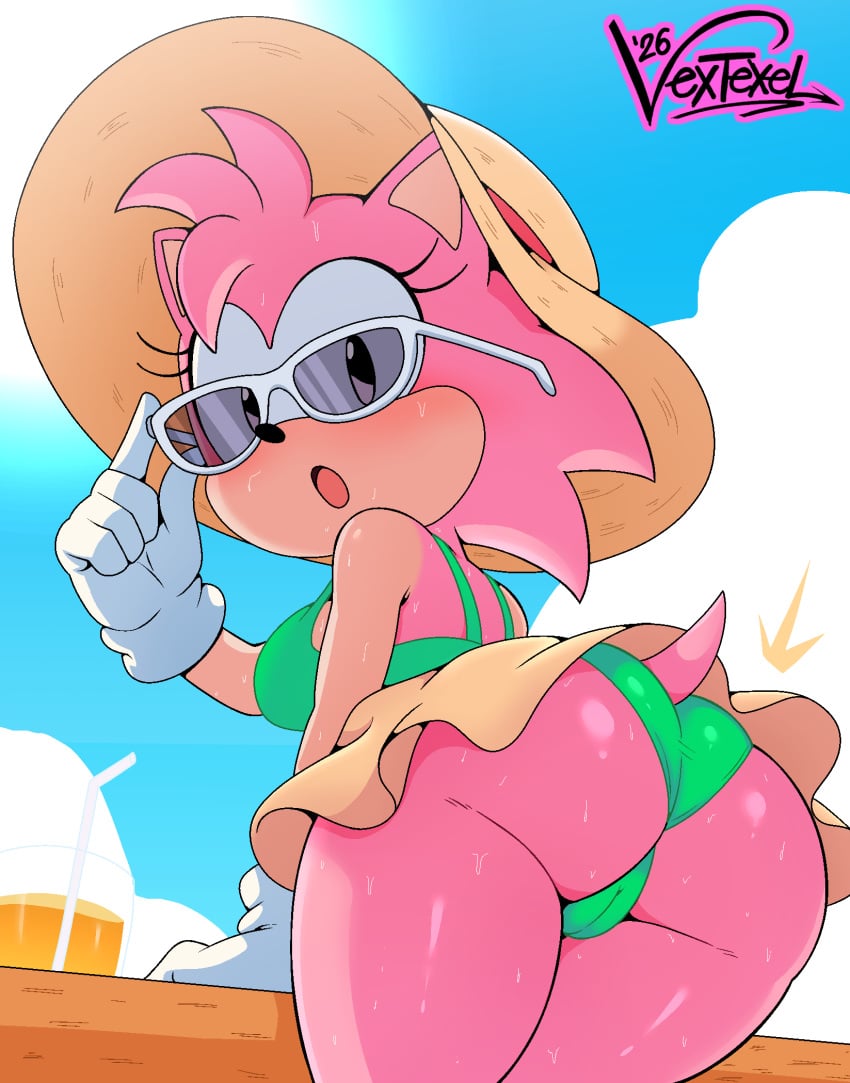 Amy Rose & Classic Amy Rose (Sega) Rule 34 – Ass Focus