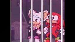 Knuckles The Echidna & Rouge The Bat (Sega) Rule 34 Video