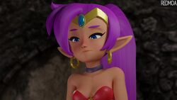 Shantae Rule 34 Video – Annoyed