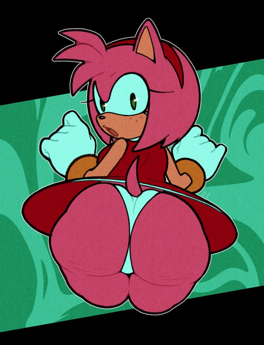 Amy Rose (Sonic) Rule 34 – Anthro