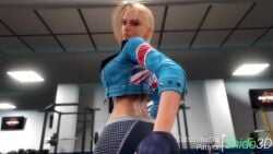 Cammy White (Street Fighter) Rule 34 Video – Abs