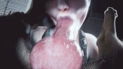 3D Rule 34 Animation – Blowjob & Oral Sex by Srvn