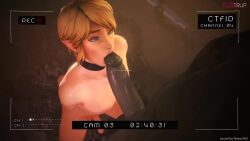 Ganondorf & Link (Hyrule Warriors) Rule 34 Video