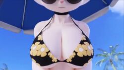 Bunni & Generation 8 Pokemon (Nintendo) Rule 34 Video