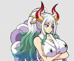 Yamato (One Piece) Rule 34 Video – Adorable