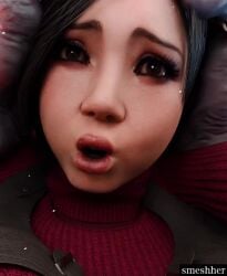 Ada Wong & Ada Wong (Biohazard) Rule 34 Video – 1monster