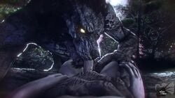 The Witcher Rule 34 Video – Animal Genitalia