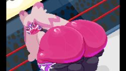 Pokemon & Tinkaton Nintendo Rule 34 – Huge Ass Animation