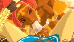 Gerudo & Link (Breath Of The Wild) Rule 34 Video