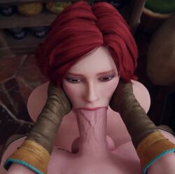 Ciri & Triss Merigold (Cd Projekt Red) Rule 34 Video