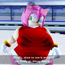 Amy Rose & Amy Rose (Sega) Rule 34 Video – Alternate Ass Size