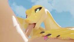 Aftercare Bald Rule 34 Video