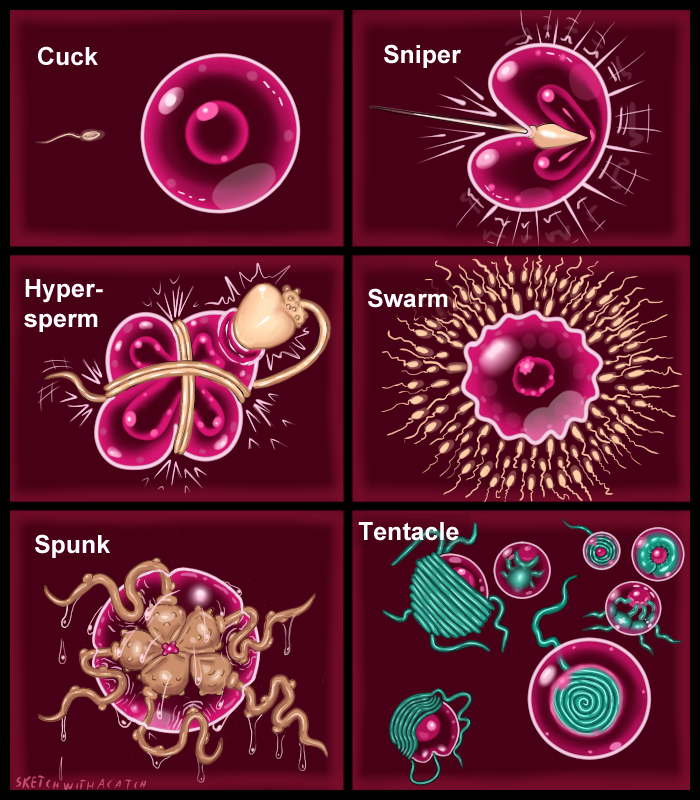 Aggressive Fertilization Egg Rule 34
