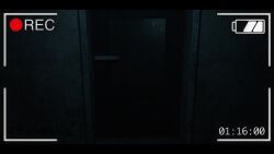 Female Pyramid Head & Pyramid Head (Konami) Rule 34 Video
