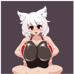 Momiji Inubashiri (Touhou) Rule 34 Video – Animal Ears