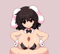 Tewi Inaba (Touhou) Rule 34 Video – Black Bow