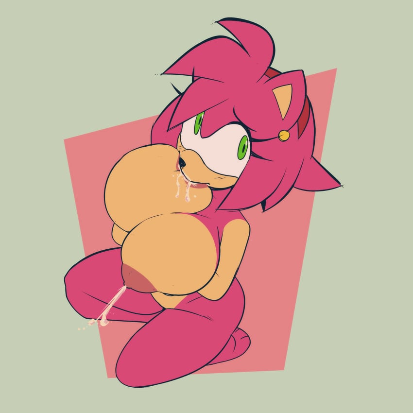 Amy Rose (Sega) Rule 34 – Blushing