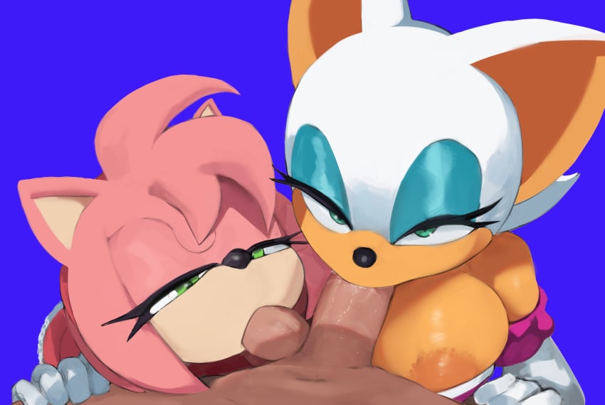 Amy Rose & Anon (Sega) Rule 34 – Female Focus