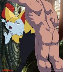 Braixen & Pokemon (Nintendo) Rule 34 Video – 3 Fingers