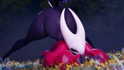 Hornet & Protagonist (Hollow Knight) Rule 34 Video