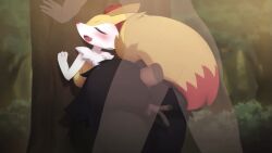 Braixen & Generation 6 Pokemon (Game Freak) Rule 34 Video