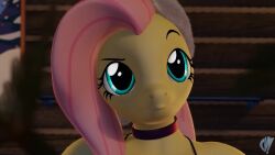 Changeling & Fluttershy (Christmas) Rule 34 Video