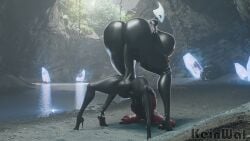 Hornet & Shakra (Hollow Knight) Rule 34 Video – Anal