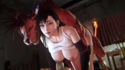 Red Xiii & Tifa Lockhart (Dissidia) Rule 34 Video