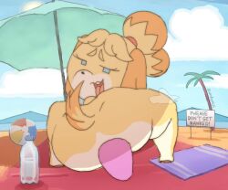 Isabelle (Animal Crossing) Rule 34 Video – Anthro