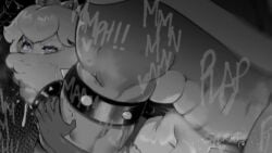 Bowser & Princess Peach (Illumination Entertainment) Rule 34 Video