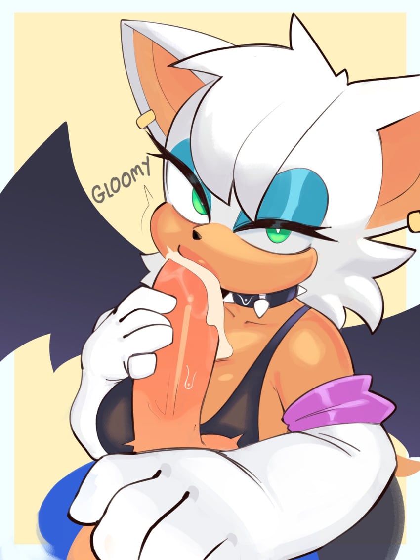 Rouge The Bat & Sonic The Hedgehog (Sega) Rule 34