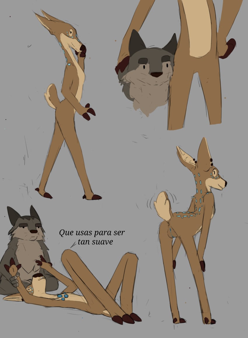Anthro Anus Rule 34
