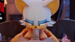 Rouge The Bat & Rouge The Bat (Sega) Rule 34 Video