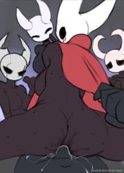 Hornet & Protagonist (Hollow Knight) Rule 34 Video
