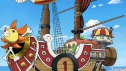 Nami & Nico Robin (One Piece) Rule 34 Video – Animal Genitalia