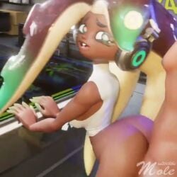 Marina & Marina (Splatoon) Rule 34 Video