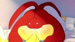Knuckles The Echidna & Tails The Fox (Sega) Rule 34 Video