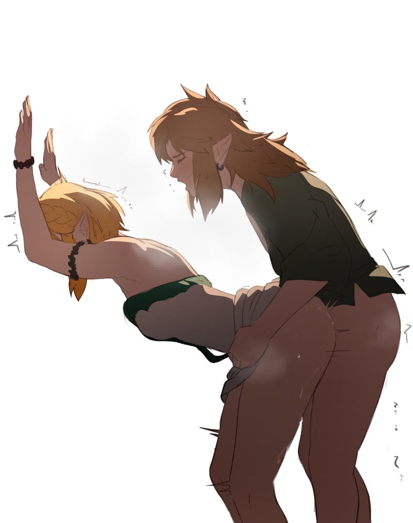 Link & Princess Zelda (Nintendo) Rule 34 – From Behind