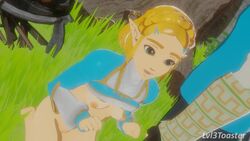 Link & Princess Zelda (Nintendo) Rule 34 Video