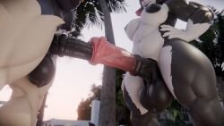Reinette & Vivian Rule 34 Video – Animal Genitalia