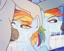 Berry Punch & Big Macintosh (2 Phut Hon) Rule 34 Video