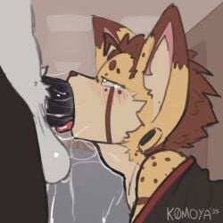 Anthro Deepthroat Rule 34 Video