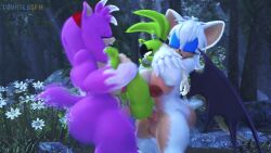 Rouge the Bat & Amy Rose Sonic Rule 34 – Gangbang Animation