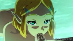 Link & Link (Nintendo) Rule 34 Video – All Fours