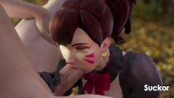 Black Cat D.va & D.va (Blizzard Entertainment) Rule 34 Video