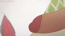 Ponne & Tane (Belfort And Lupin) Rule 34 Video