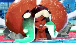 Marina & Marina Ida (Nintendo) Rule 34 Video – Absurdly Large Ass
